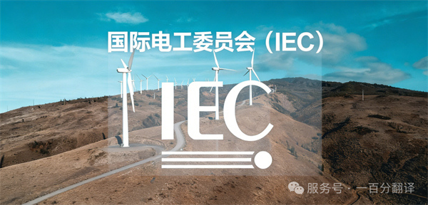 中外標(biāo)準(zhǔn)咨詢(xún)服務(wù)